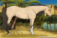Horse Color:Buckskin Roan 