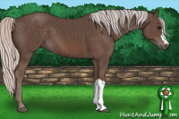 Horse Color:Silver Black 
