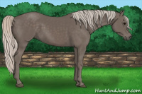 Horse Color:Silver Black 