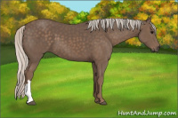 Horse Color:Silver Black 
