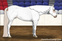 Horse Color:White Spotted Silver Bay Frame 