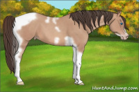 Horse Color:Amber Champagne Tobiano Frame 