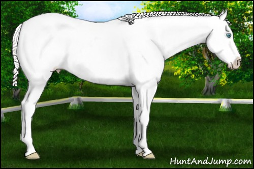 Horse Color: Perlino Splash Near Leopard 