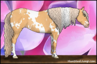 Horse Color:White Spotted Gold Cream Champagne Rabicano