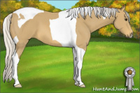Horse Color:Silver Buckskin Tobiano 
