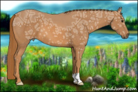 Horse Color:Chestnut Ice 