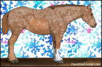 Horse Color:Chestnut Ice Tobiano 