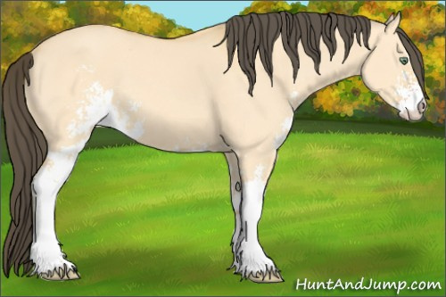 Horse Color: Amber Cream Champagne Dun Sabino 