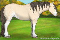 Horse Color:Amber Cream Champagne Dun Sabino 