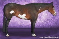 Horse Color:Brown Frame 