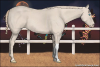 Horse Color:Perlino 