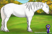 Horse Color:Perlino Varnish 