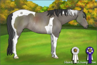 Horse Color:Black Tobiano Rabicano