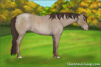 Horse Color:Classic Champagne Roan 
