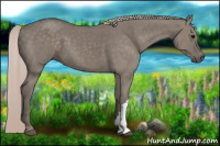 Horse Color:Silver Grullo