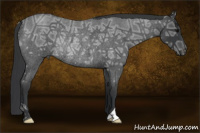 Horse Color:Brown Ice Roan Rabicano 