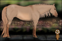 Horse Color:Liver Red Dun 