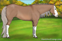 Horse Color:Silver Bay Dun Splash