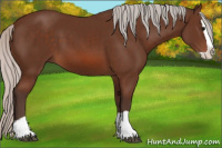 Horse Color:Silver Brown Splash 