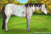 Horse Color:Bay Ice 