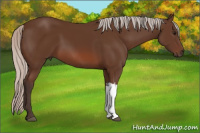 Horse Color:Silver Brown 