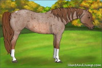 Horse Color:Red Roan Tobiano 