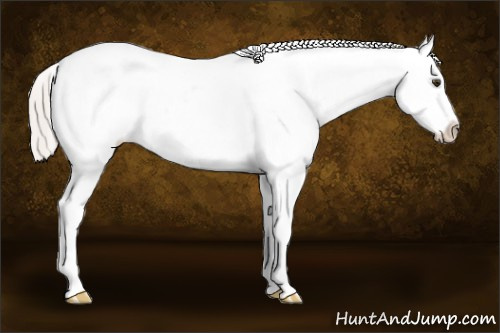 Horse Color: Silver Bay Dun Tobiano Frame Snowcap Rabicano 