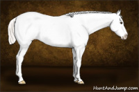 Horse Color:Silver Bay Dun Tobiano Frame Appaloosa Rabicano