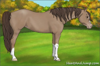 Horse Color:Classic Champagne 