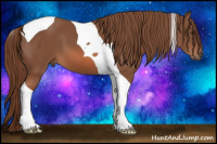 Horse Color:Liver Chestnut Tobiano 