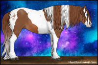 Horse Color:Chestnut Splash Tobiano