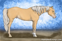 Horse Color:Silver Sable Cream Champagne Roan 