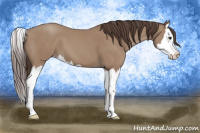 Horse Color:Sable Champagne Splash 