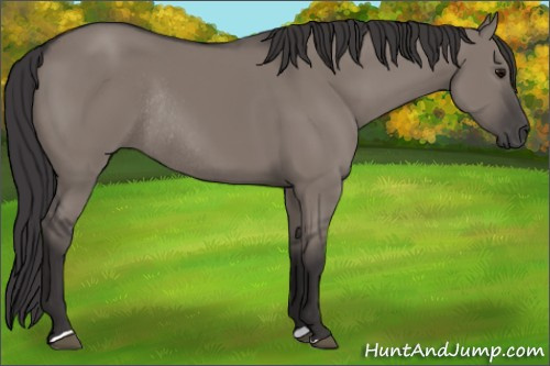 Horse Color: Smoky Grullo Rabicano 