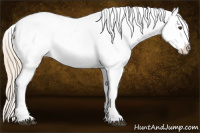 Horse Color:Palomino Snowcap 