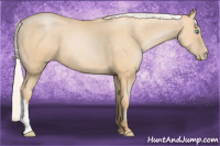 Horse Color:Silver Buckskin Pearl 
