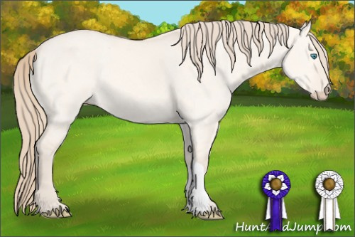 Horse Color: Perlino Dun 