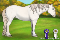 Horse Color:Perlino Dun 