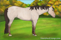 Horse Color:Amber Champagne Roan Dun 