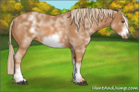 Horse Color:White Spotted Chestnut Frame