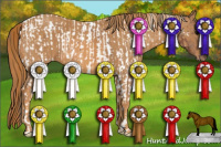 Horse Color:Bay Tobiano Near Leopard  Brindle