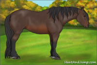 Horse Color:Brown 