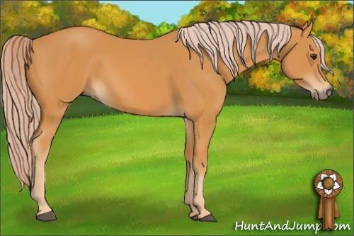 Horse Color: Chocolate Palomino 