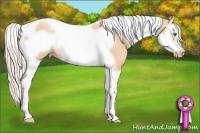 Horse Color:Silver Classic Champagne Dun Splash Tobiano Frame