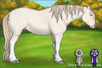 Horse Color:Perlino Dun