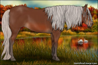 Horse Color:Silver Bay 