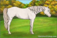 Horse Color:Perlino Roan 