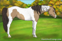 Horse Color:Buckskin Dun Tobiano