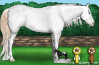 Horse Color:Buckskin Pearl Dun Blanket 