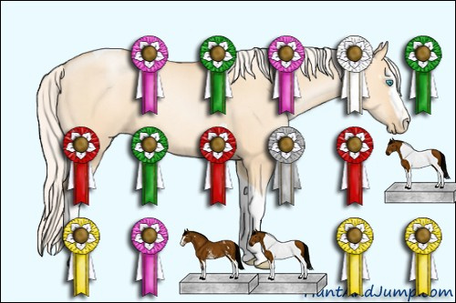 Horse Color: Unknown 